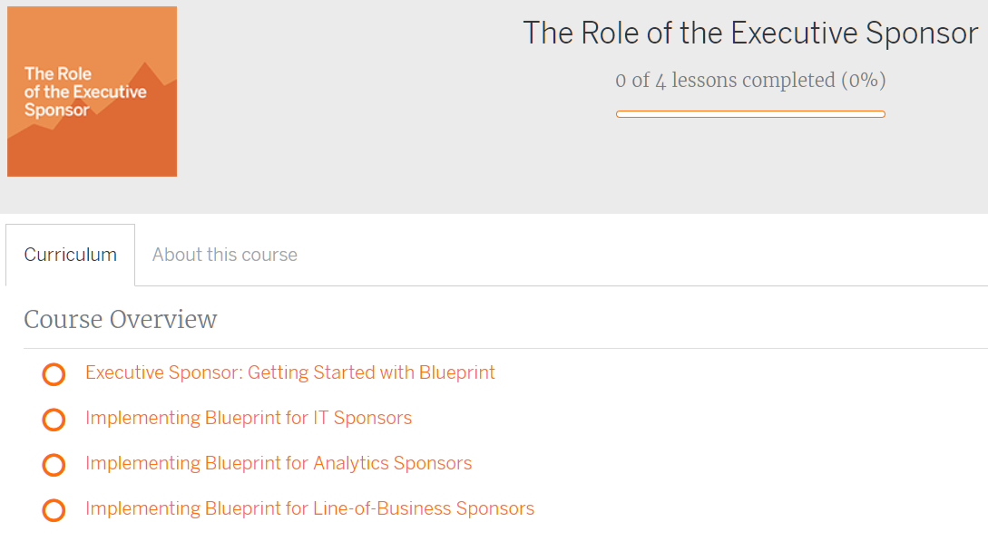 Role of the Executive Sponsor